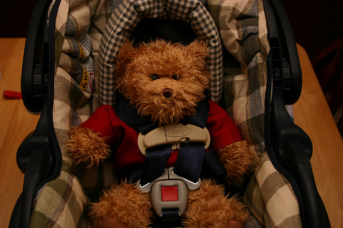 teddy bear in car seat